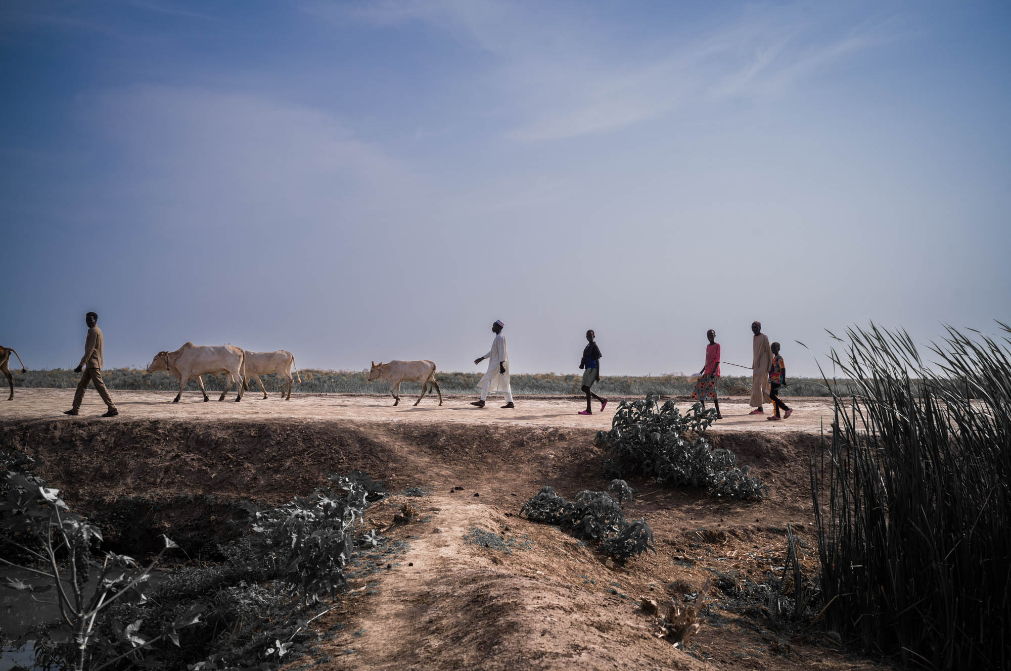 Climate Change Drives Internal Displacement in Iraq – THE INTERNATIONAL AFFAIRS REVIEW