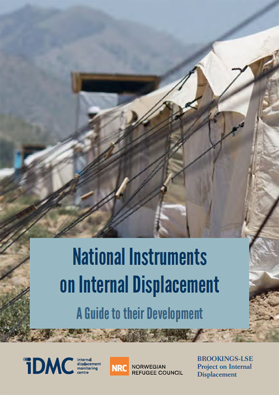 National Instruments on Internal Displacement: A Guide to their Development