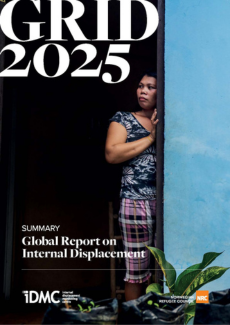 Summary - Global Report on Internal Displacement 2025