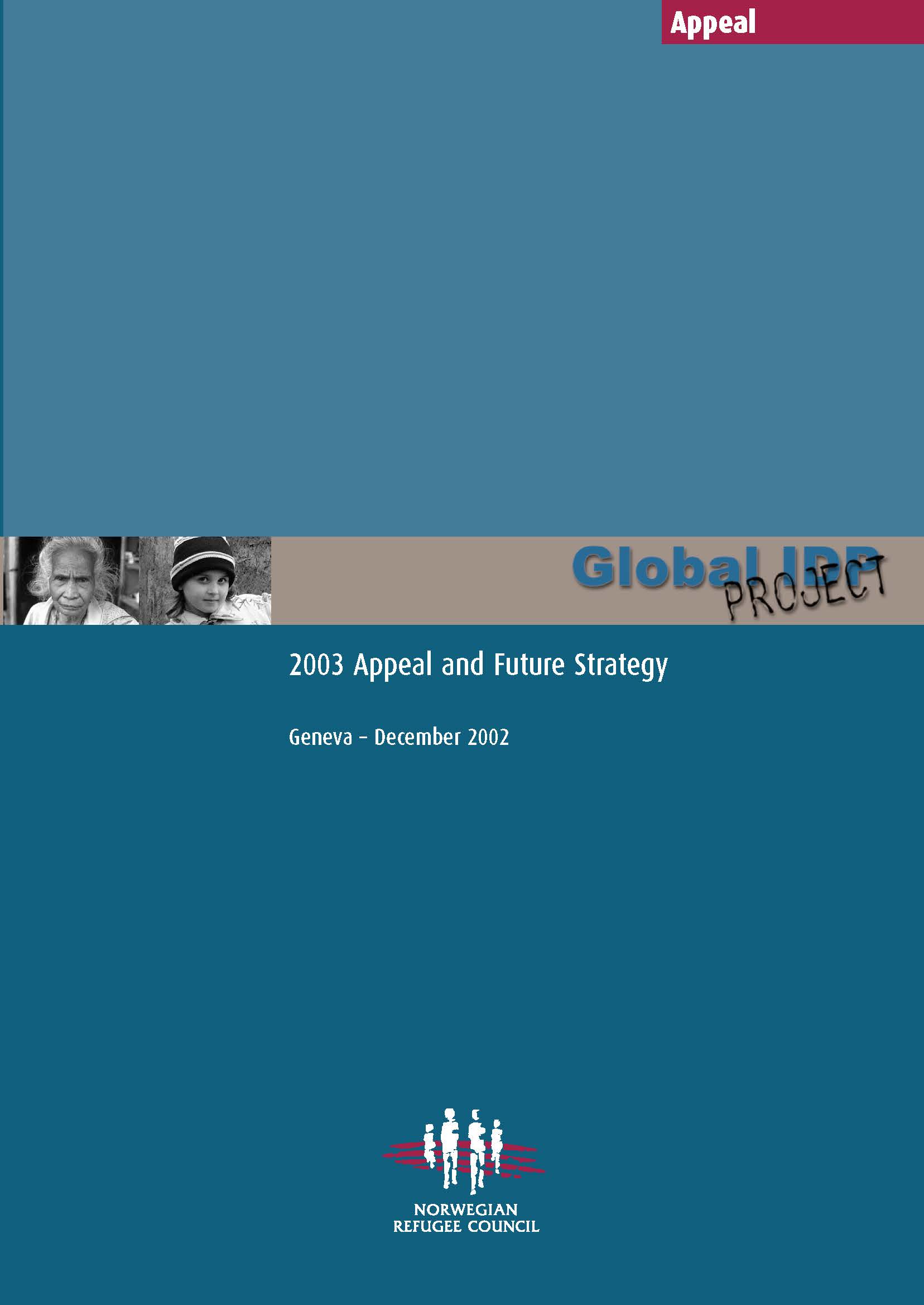 2003 Appeal and Future Strategy