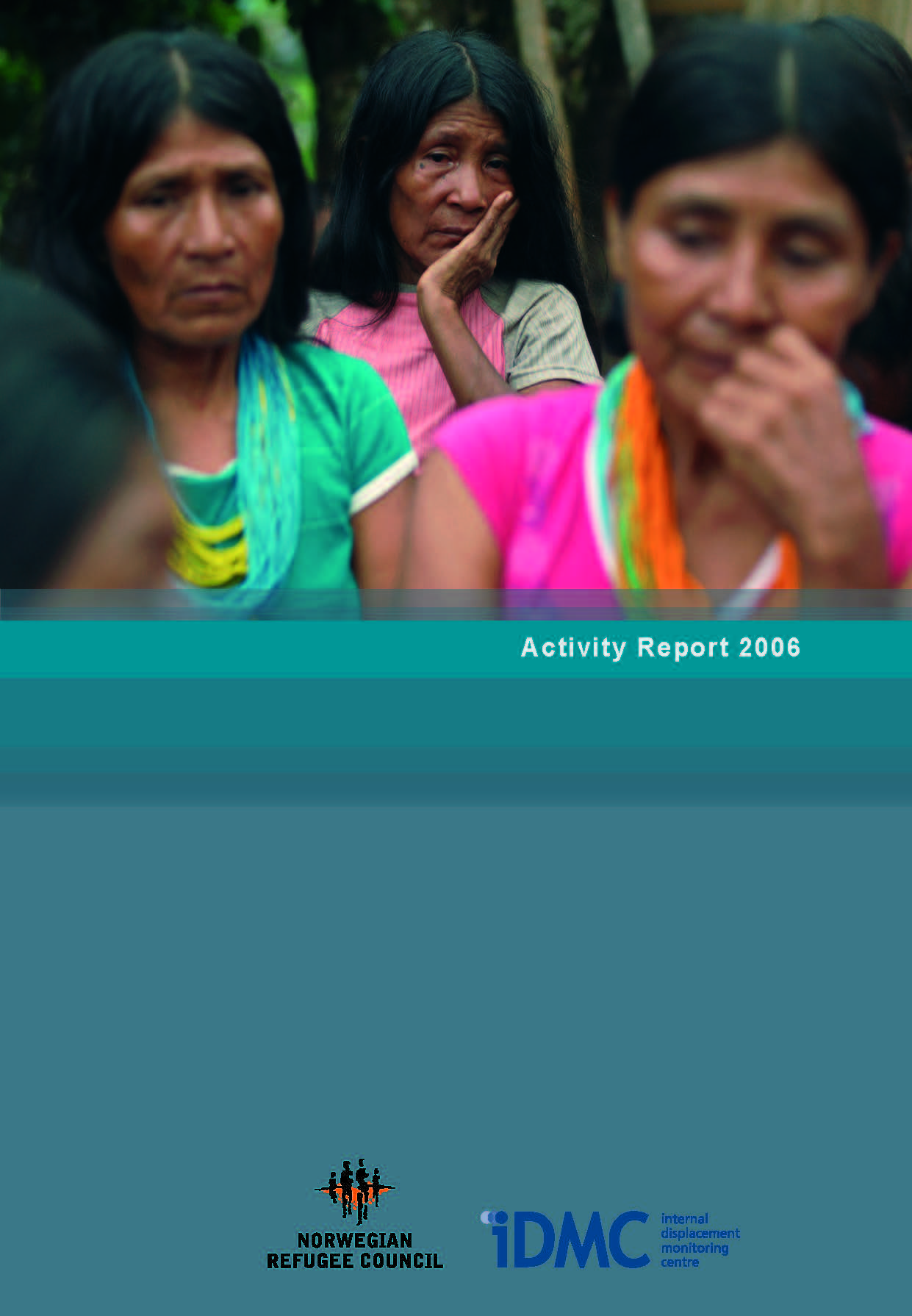 Activity Report 2006
