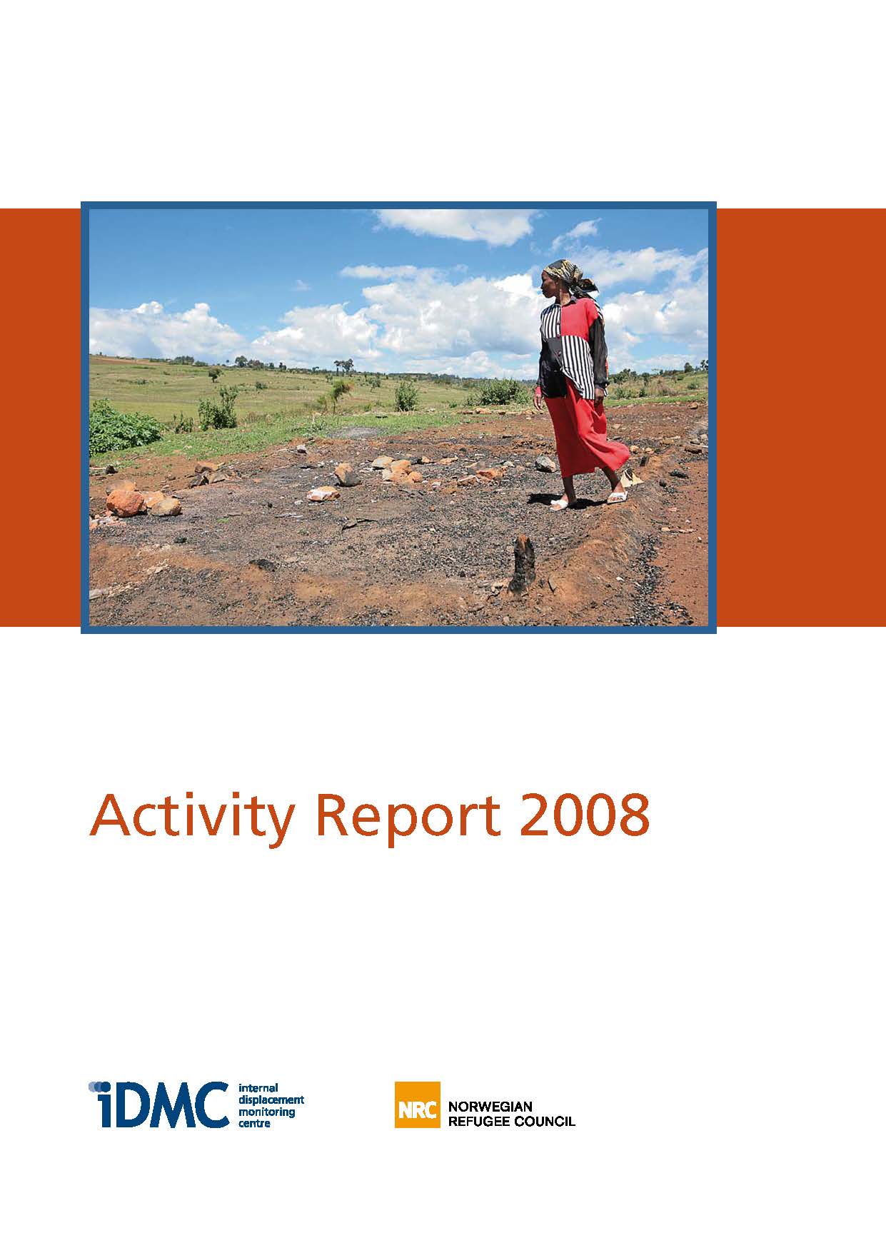 Activity Report 2008